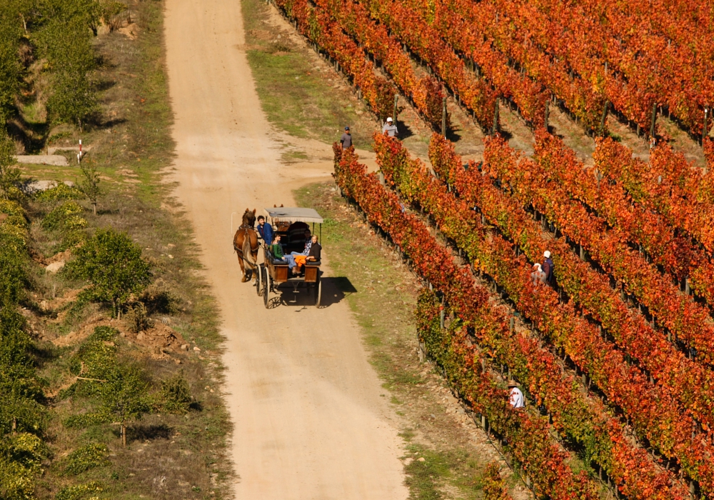 Day 07 – Valparaiso - Colchagua