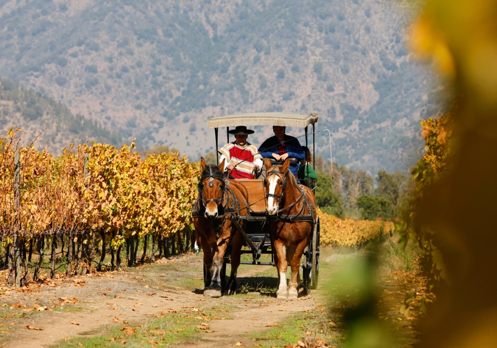 Day 07 – Valparaiso - Colchagua