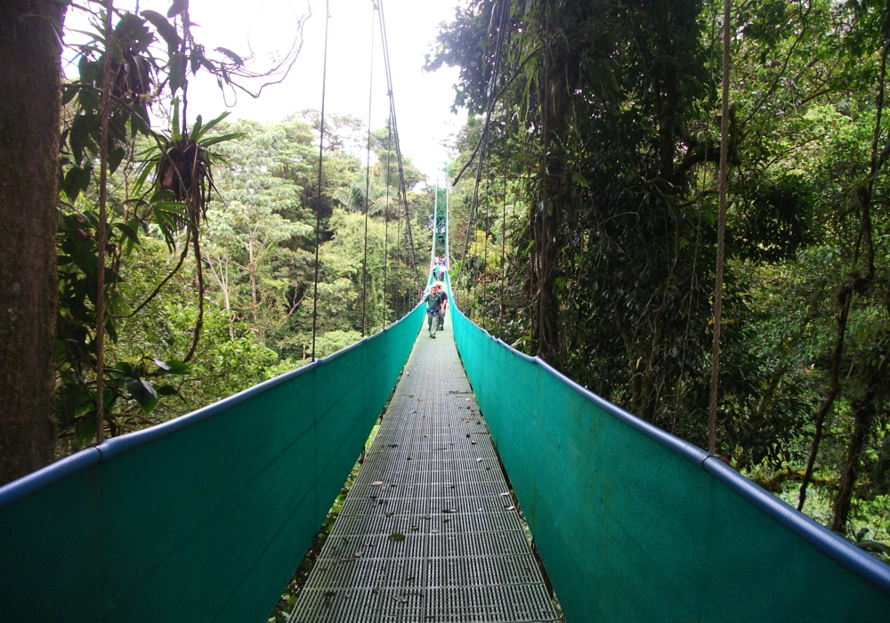 Day 08 - Arenal