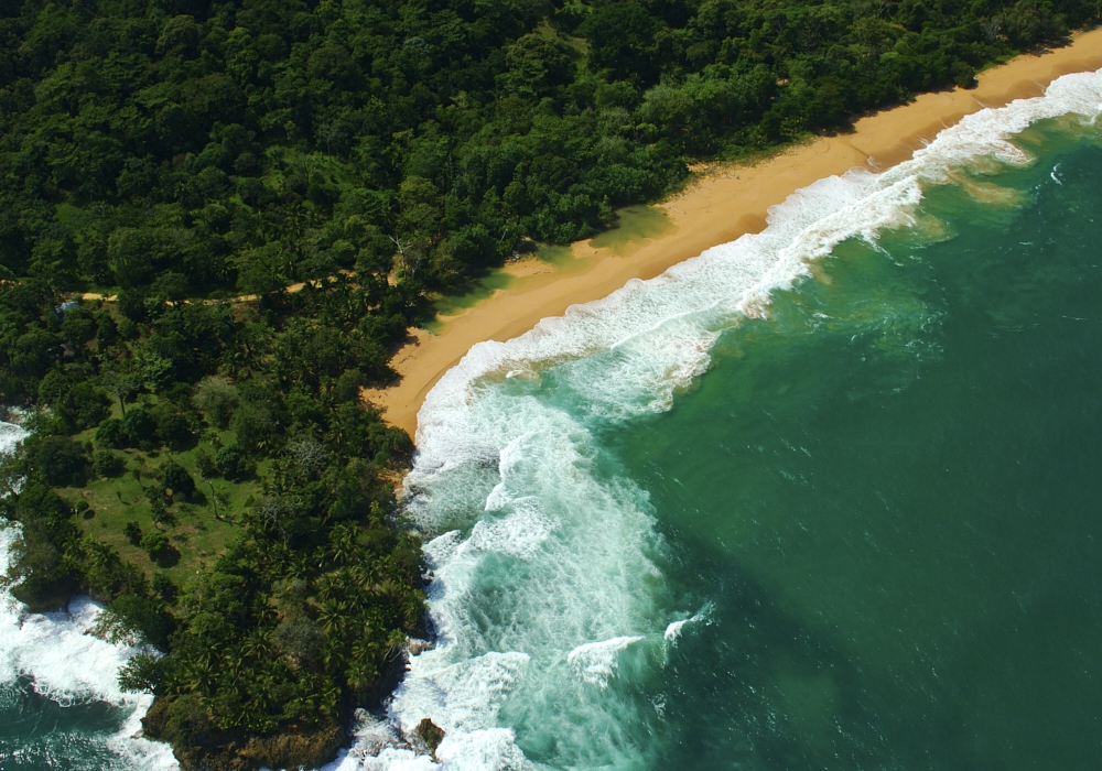 DAY 08 - BOCAS DEL TORO