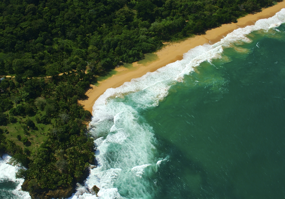 DAY 08 - Bocas Del Toro