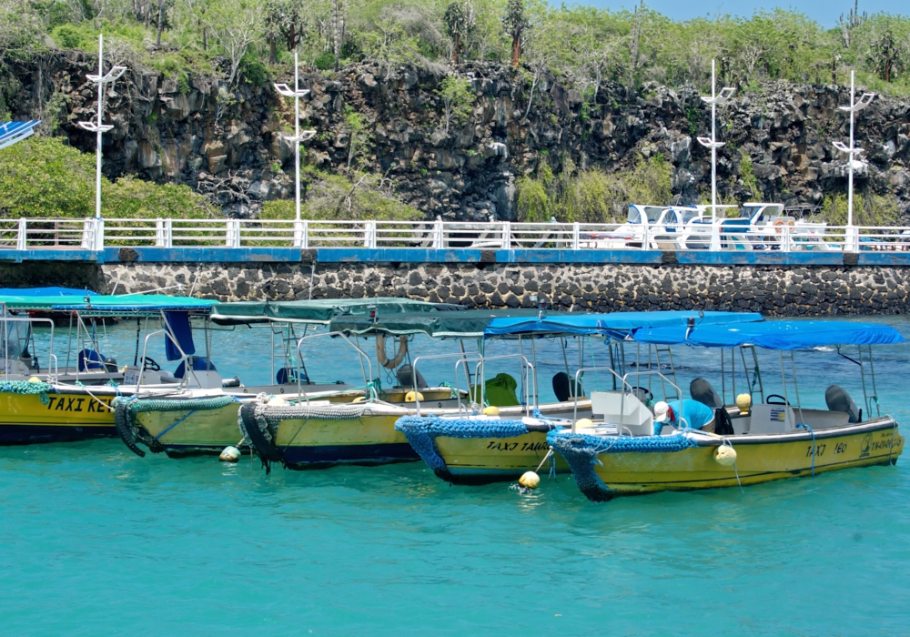 Day 08 - Charles Darwin Research station – Puerto Ayora