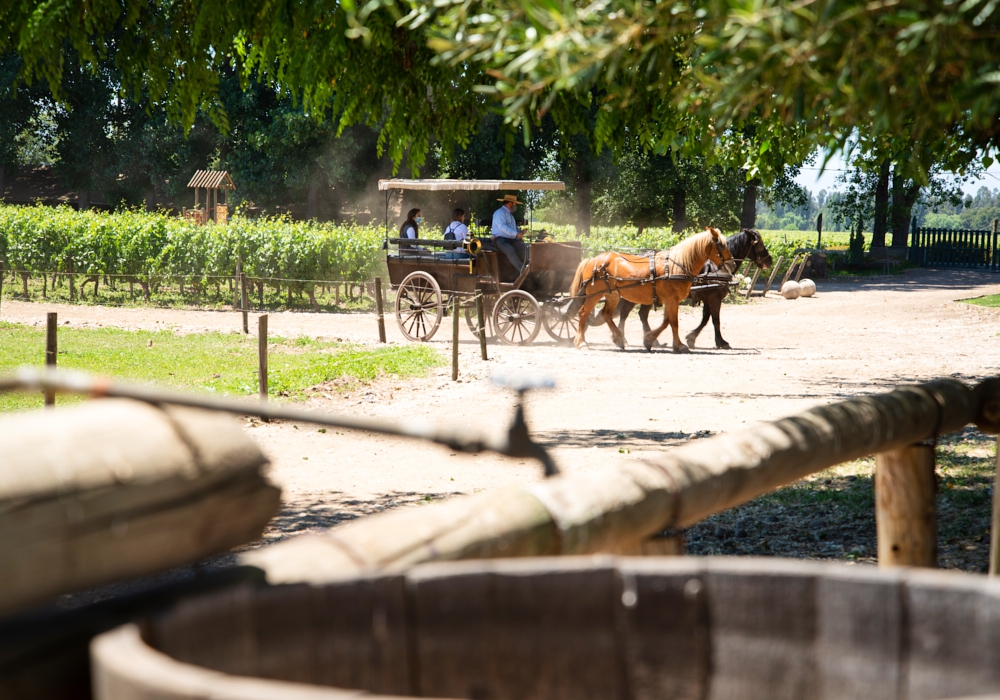 Day 08 - Colchagua Valley