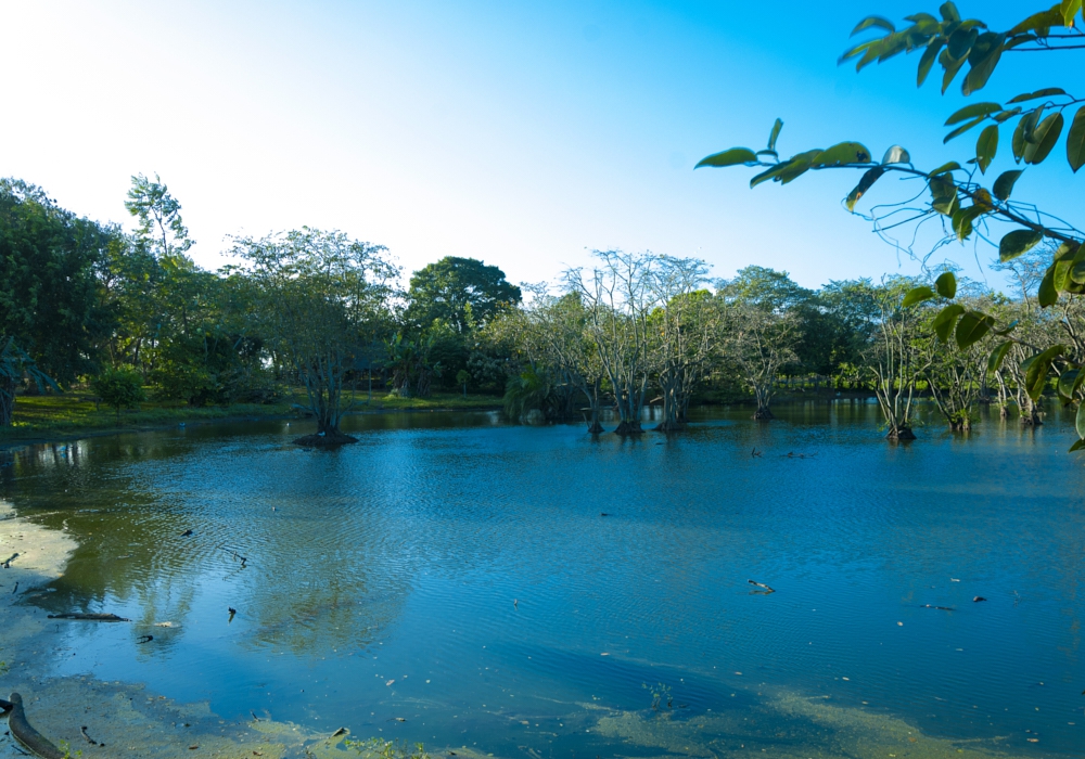 Day 08 - Copan - Rio Dulce