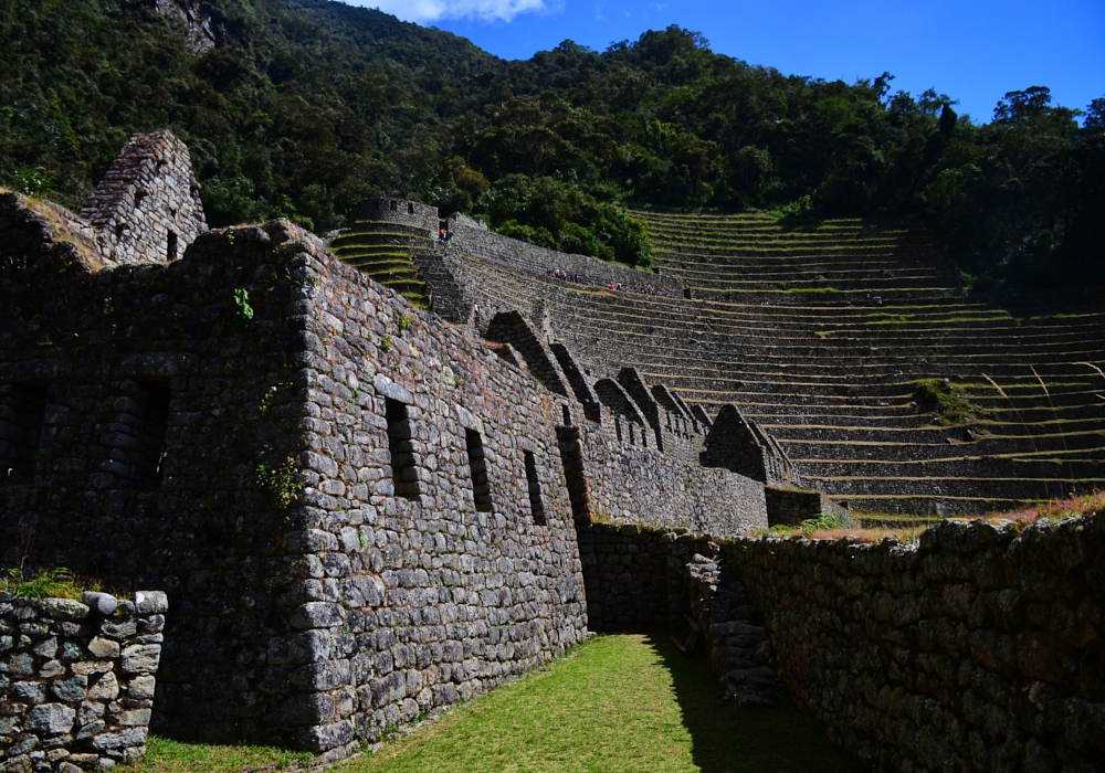 Day 08 - Cusco Open Day