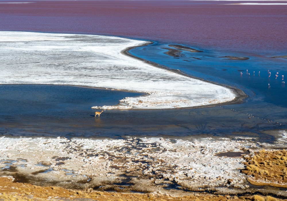 DAY 08 -  DESERT AND LAGOONS