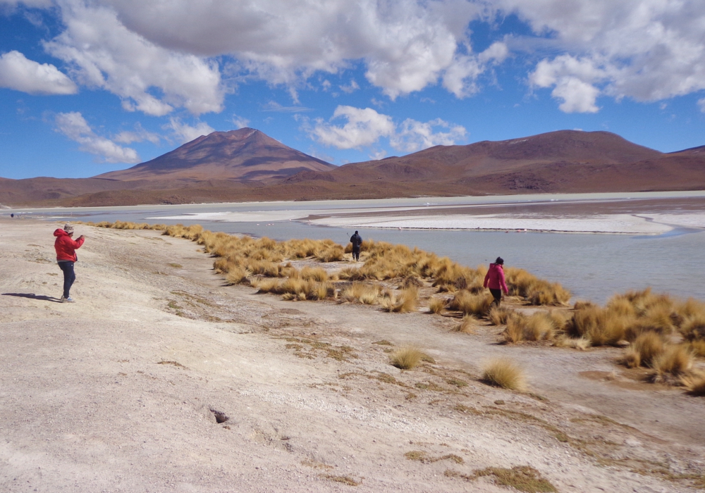 Day 08- Desert and Lagoons.