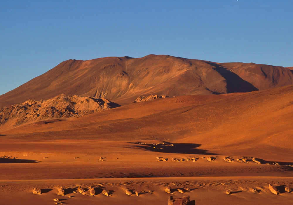 DAY 08 -  DESERT AND LAGOONS