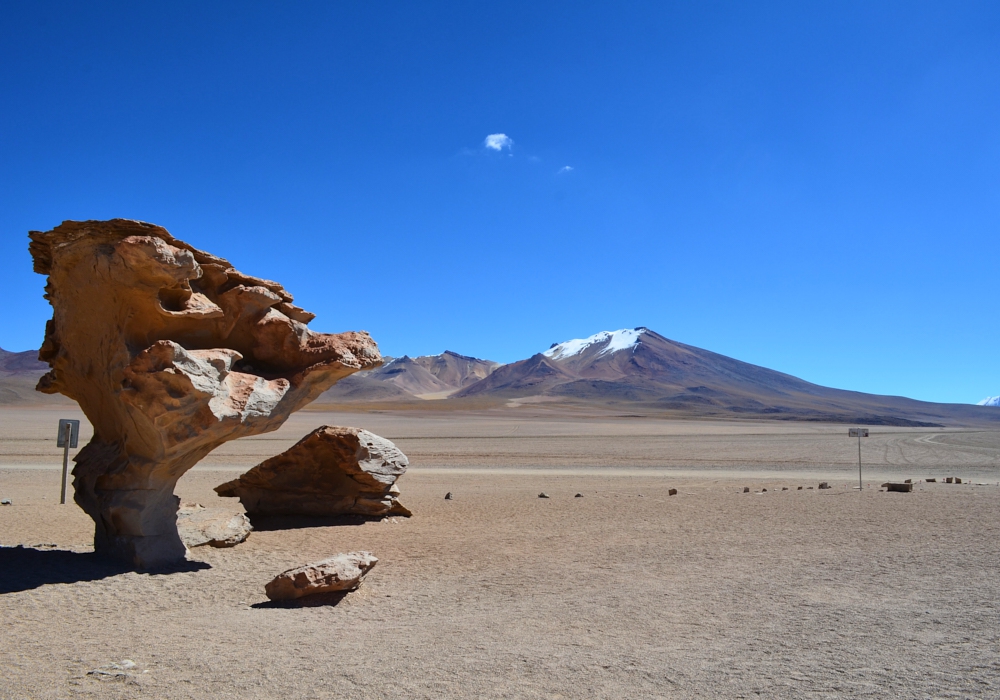 DAY 08 -  DESERT AND LAGOONS