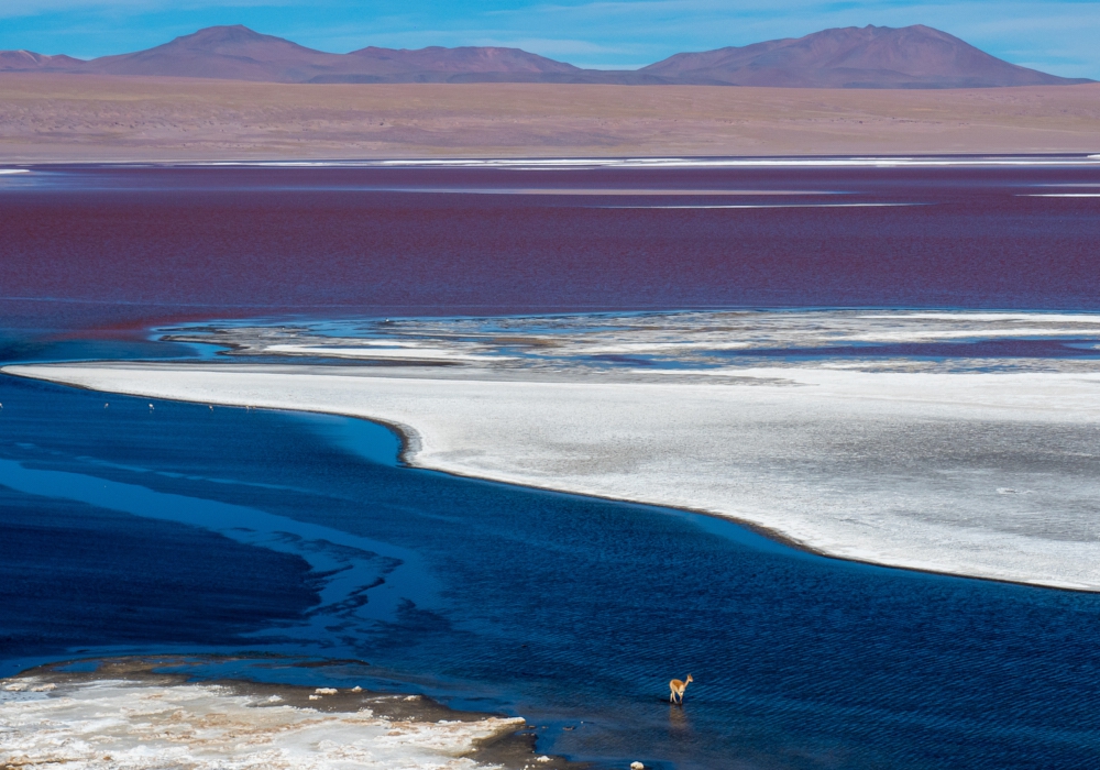 Day 08 - Desert and Lagoons.