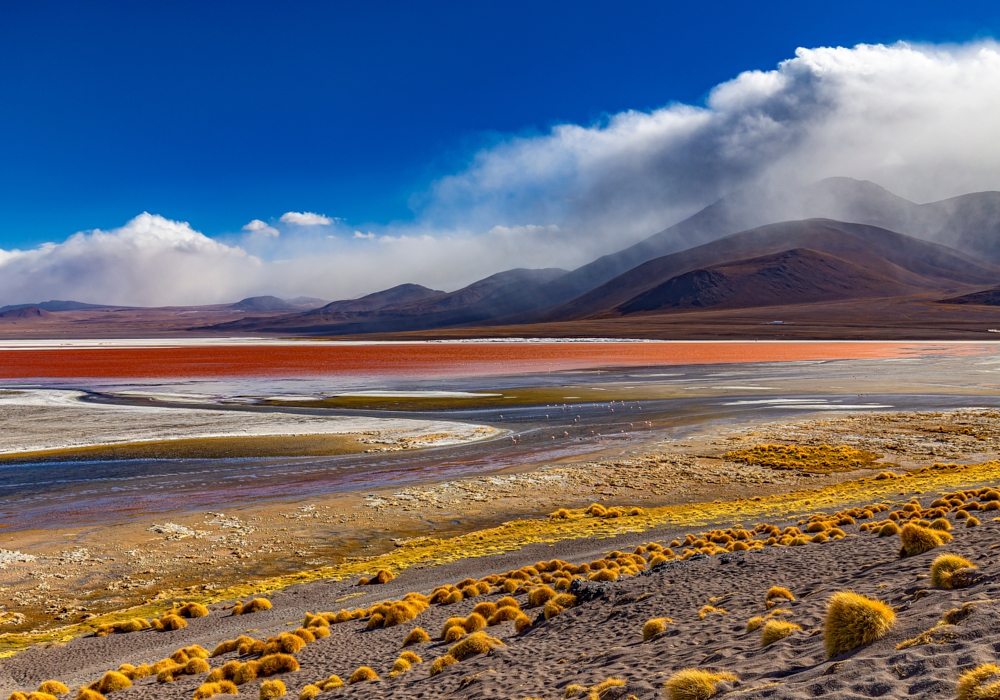 DAY 08 - DESERT AND LAGOONS