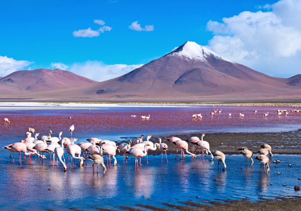 DAY 08 - DESERT AND LAGOONS