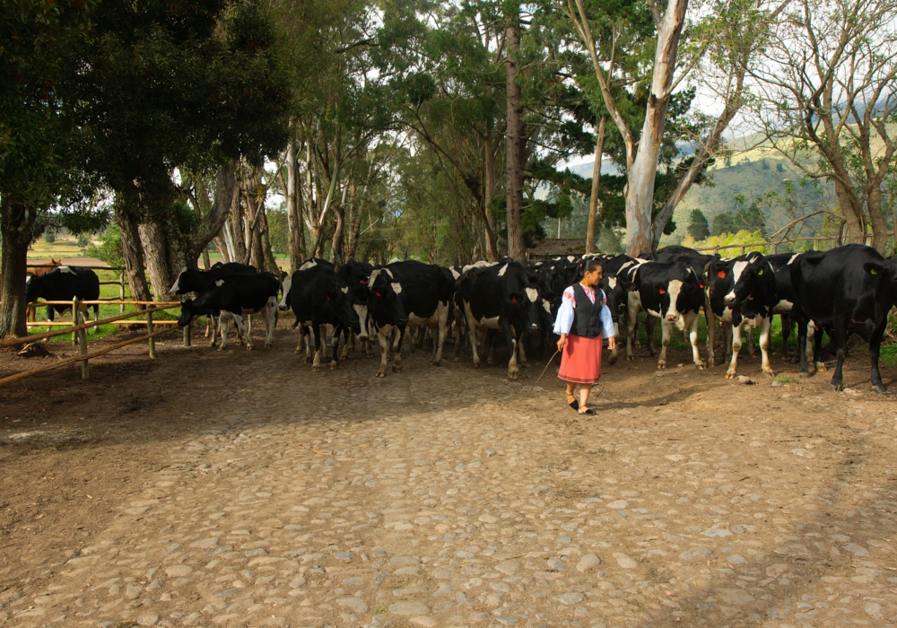 Day 08 - Hacienda Zuleta