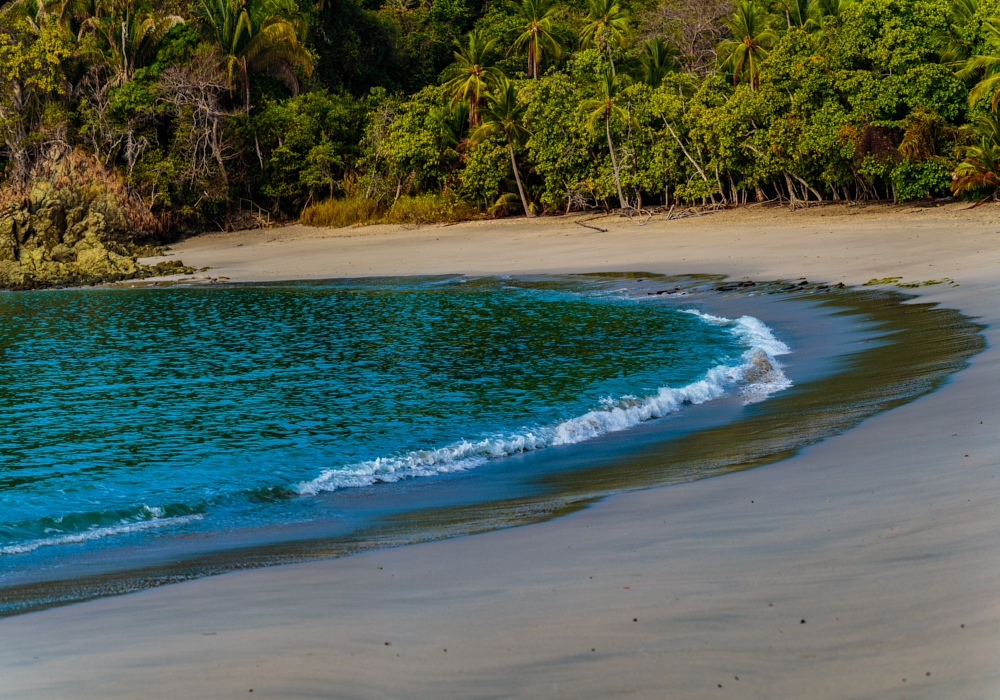 Day 08 - Manuel Antonio National Park