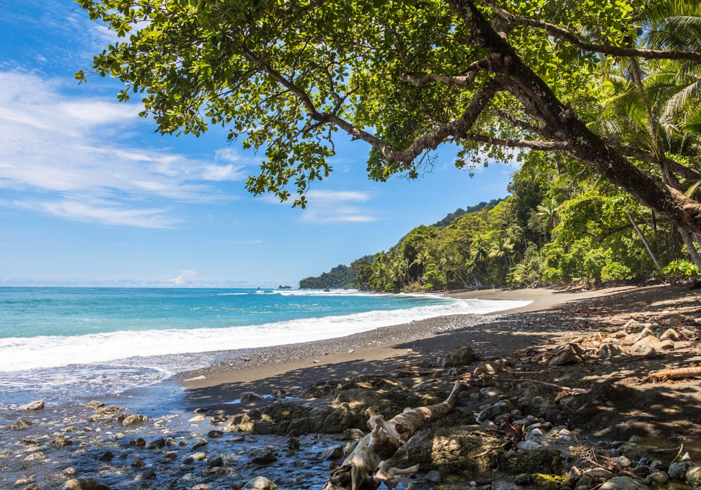 Day 08 - Manuel Antonio National Park