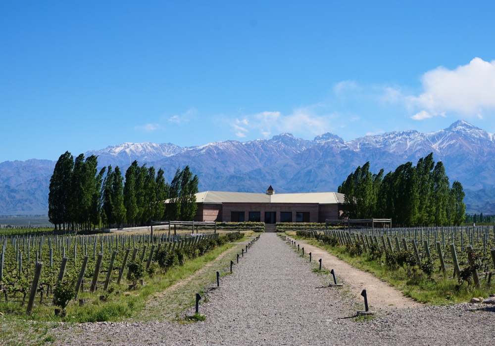 DAY 08 - MENDOZA