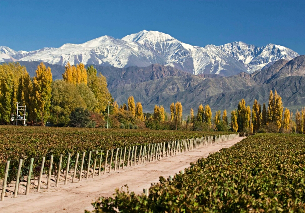 DAY 08 - MENDOZA