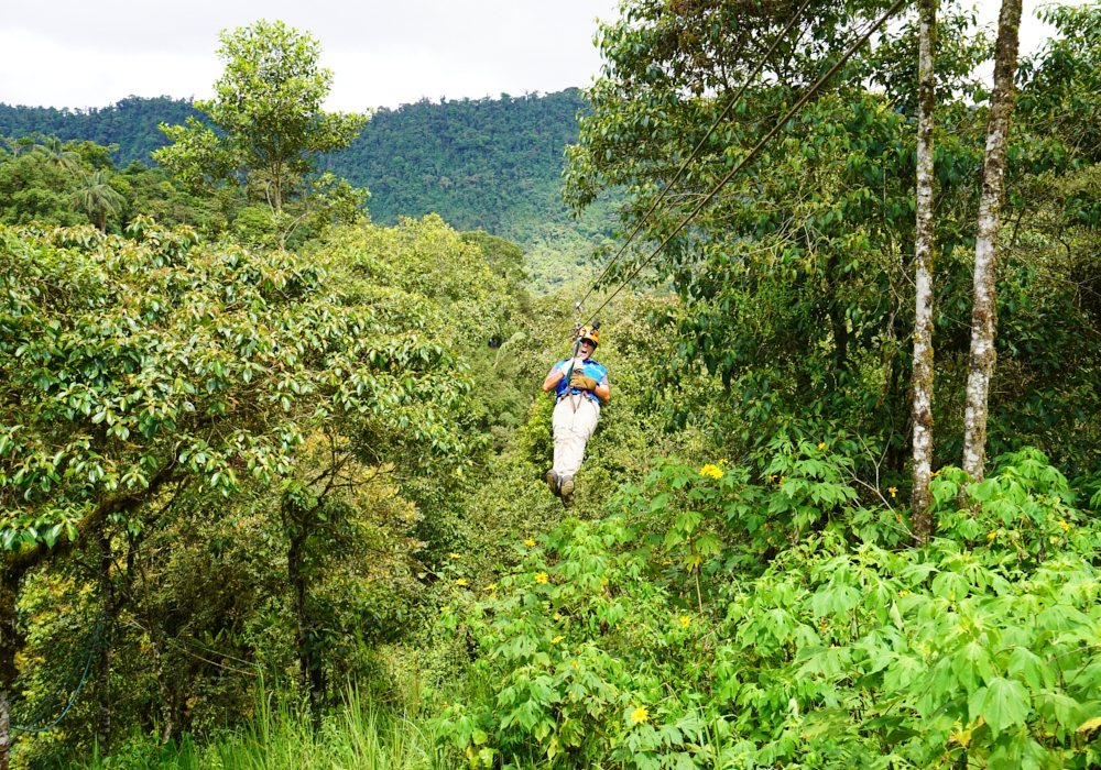 Day 08 -  Mindo Cloud Forest