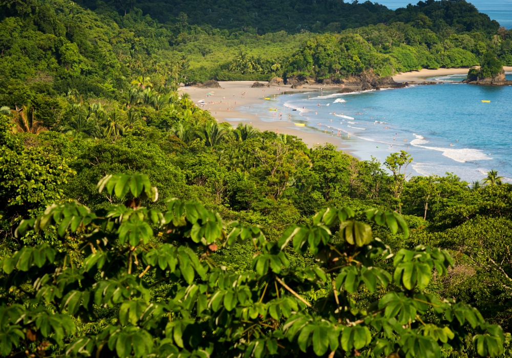 Day 08 - Monteverde - Manuel Antonio