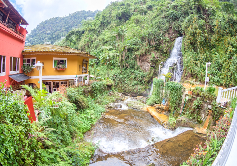 DAY 08 - Pereira - Buenavista – San Alberto Coffee Plantation - Pereira