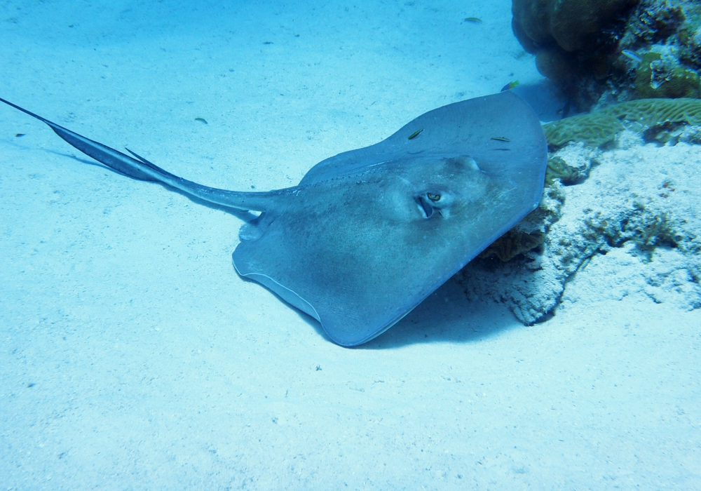 DAY 08 - San Andrés Island - Providencia Island