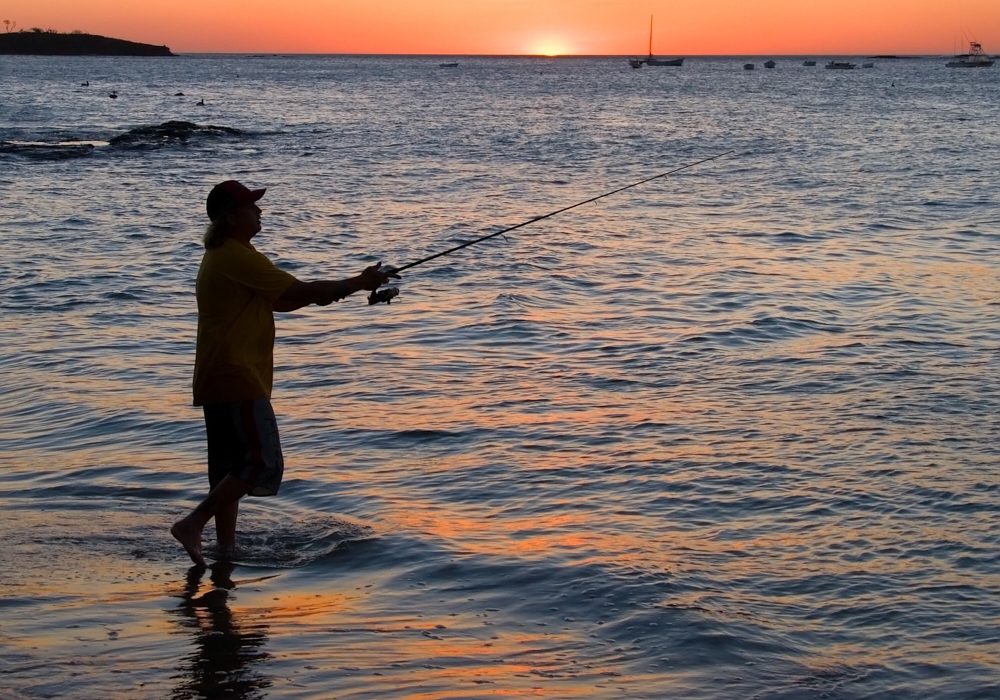 Day 08 - Tamarindo