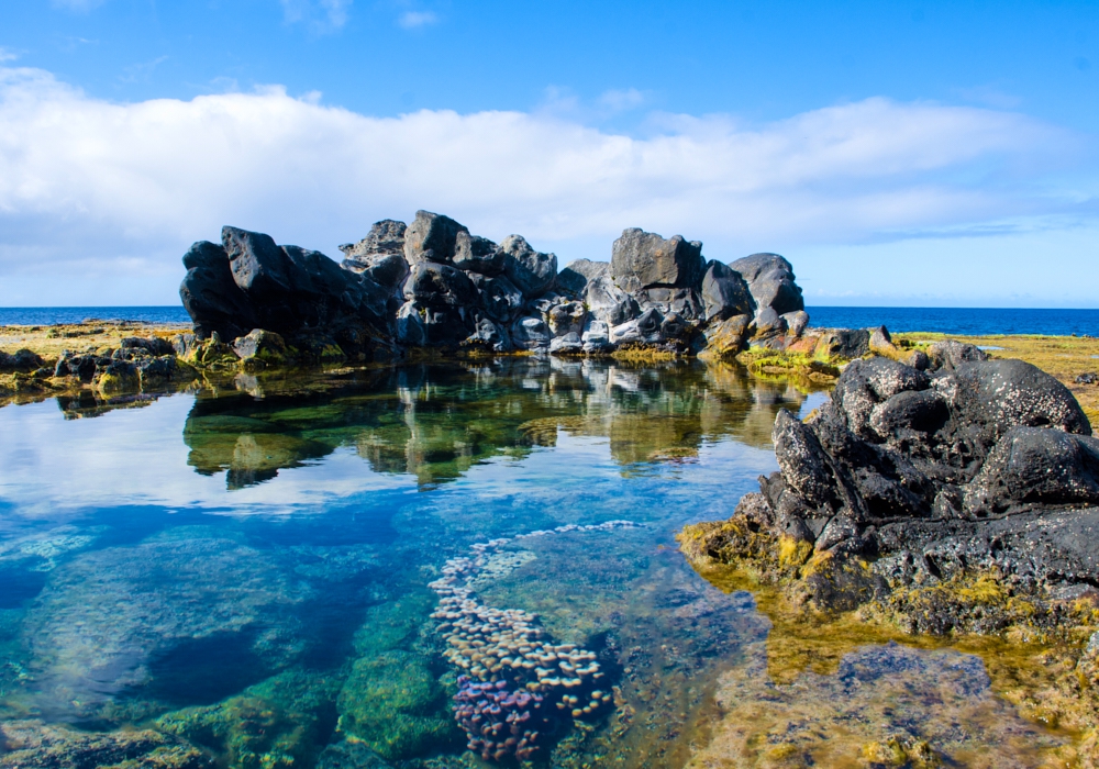 Day 08 - Vina Vik - Santiago - Easter Island