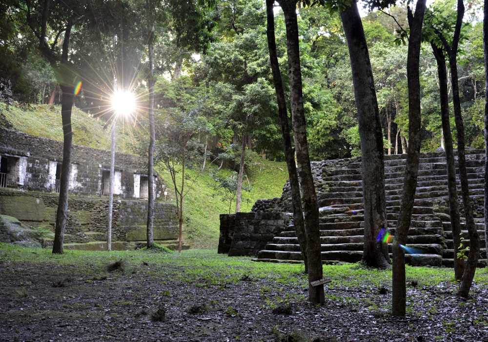 Day 08 - Yaxha -Tikal National Park