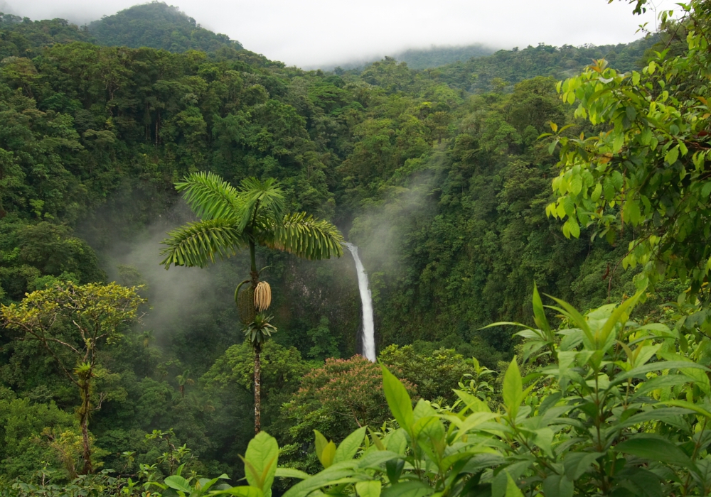 Day 09 - Arenal