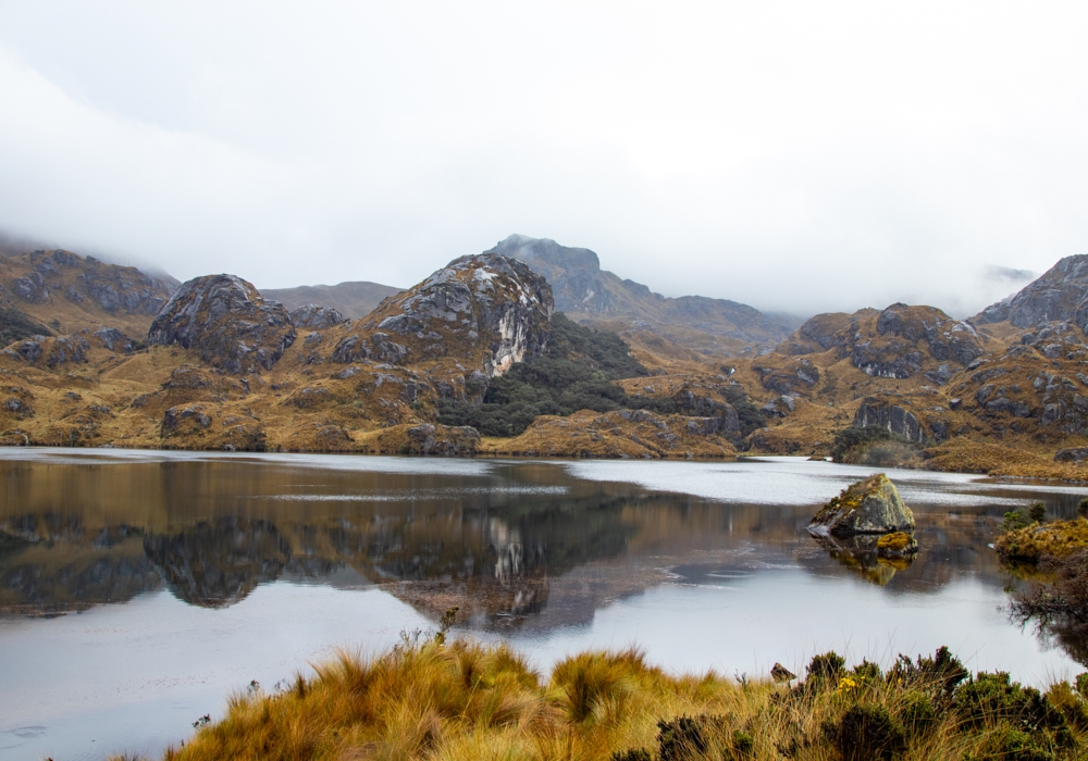 Day 09 - Cajas National Park and Guayaquil