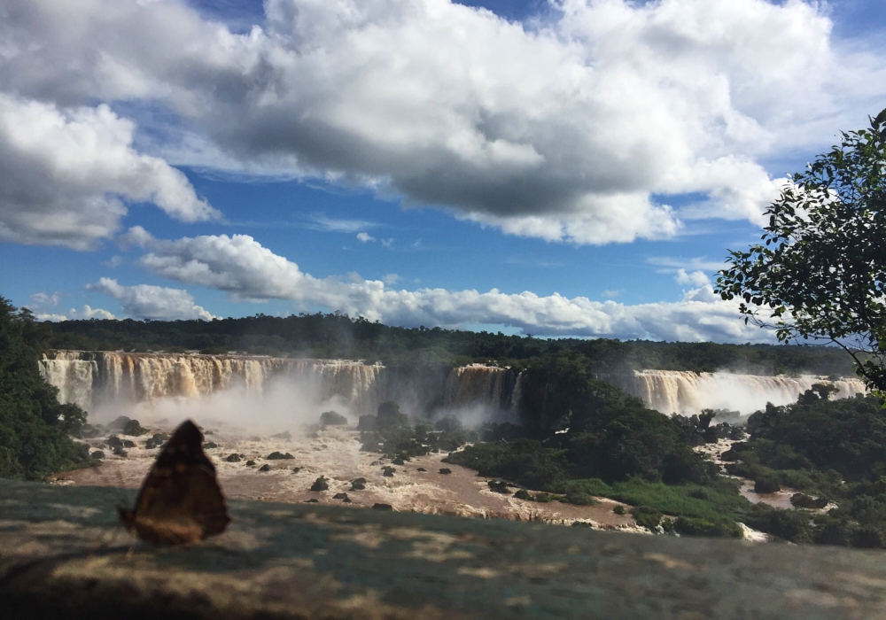 DAY 09 - CALAFATE - IGUAZU