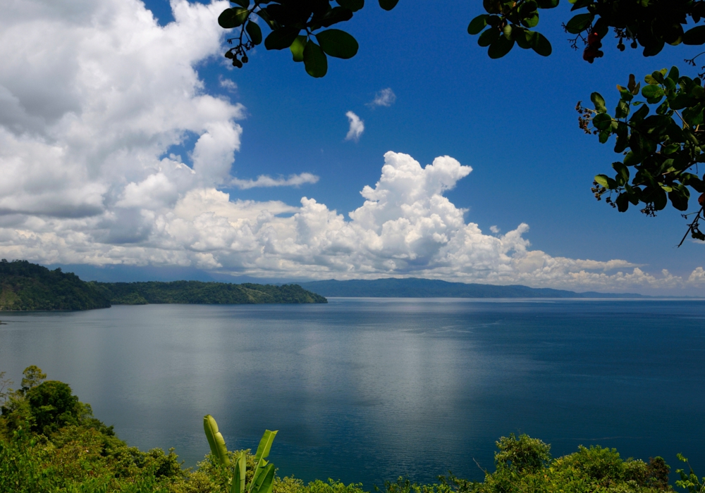 DAY 09 - Dolphin and Wildlife tour in Golfo Dulce