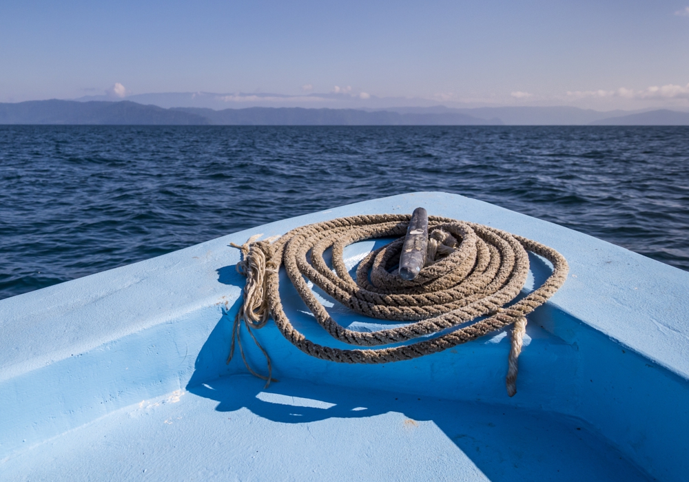 DAY 09 - Dolphin and Wildlife tour in Golfo Dulce