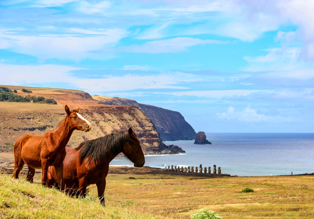 Day 09 - Easter Island