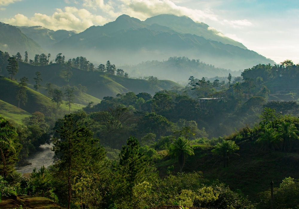 Day 09 - Las Guacamayas