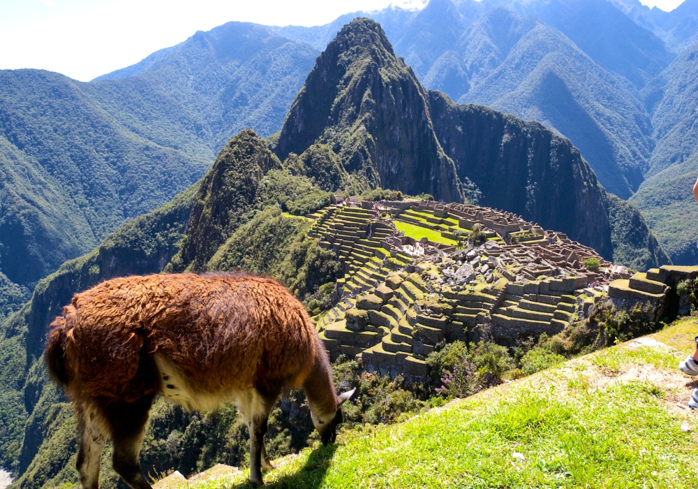 Day 09 - Machu Picchu in all its Glory (and Return to Cusco)