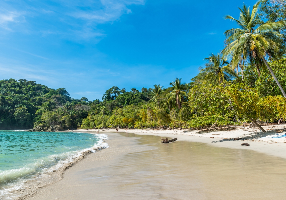 Day 09 -  Manuel Antonio National Park