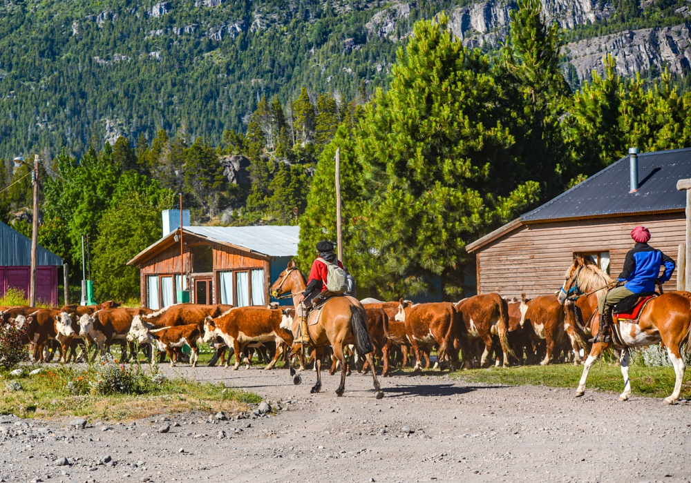 DAY 09 - MENDOZA- ESQUEL- TREVELIN