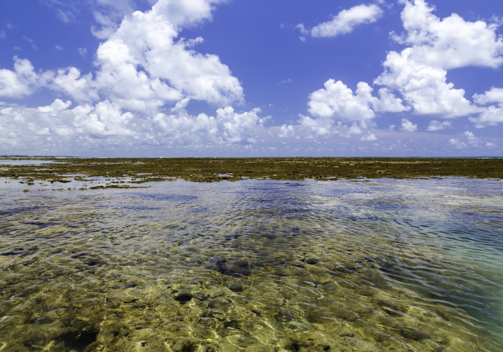 Day 09 – Porto de Galinhas