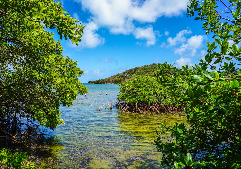 DAY 09 - Providencia Island