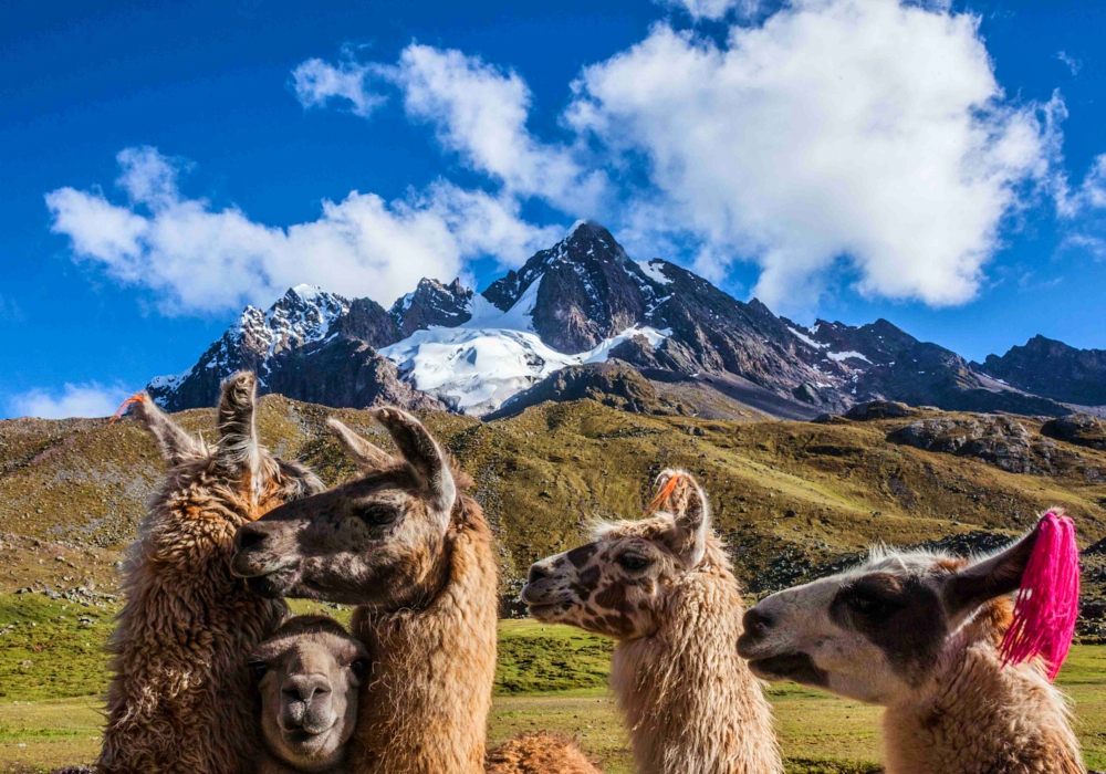 Day 09 - Puno to Cusco