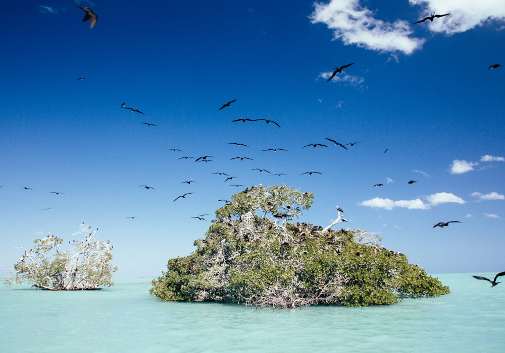 Day 09 - Punta Allen