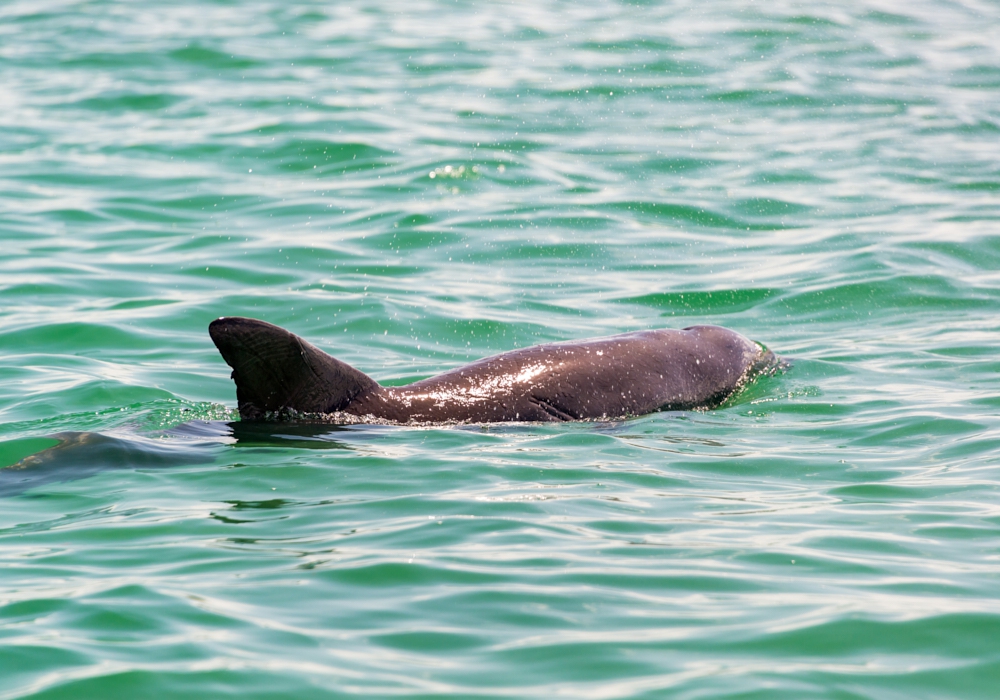 Day 09 - Punta Allen