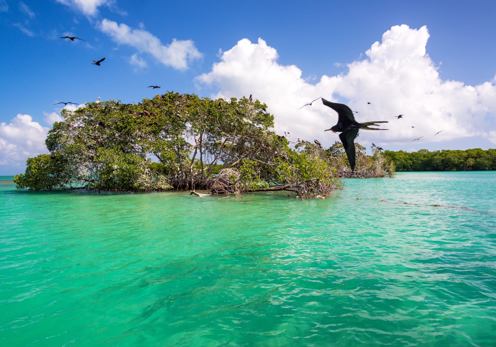 Day 09 - Punta Allen