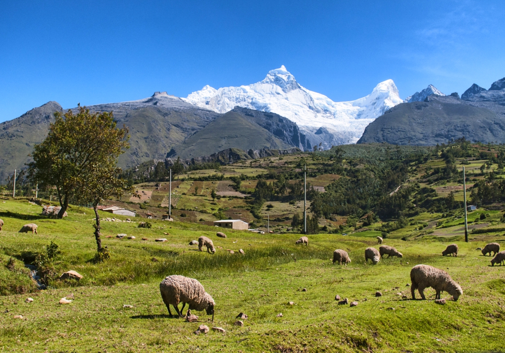 Day 10 -Base Camp – Llamacoral – Cashapampa - Huaraz