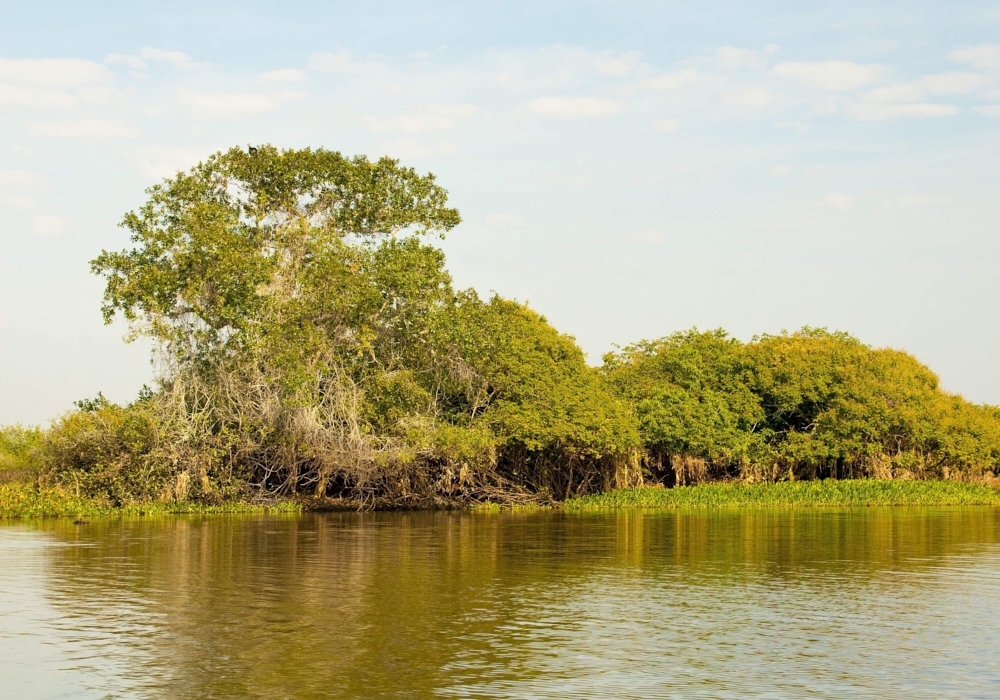 Day 10 - Caiman Lodge