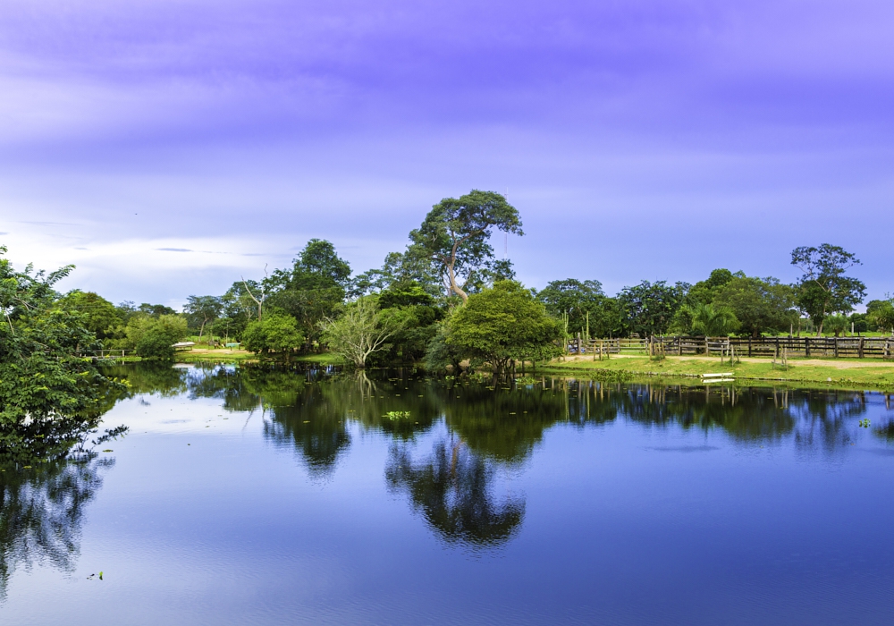 Day 10 - Caiman Lodge