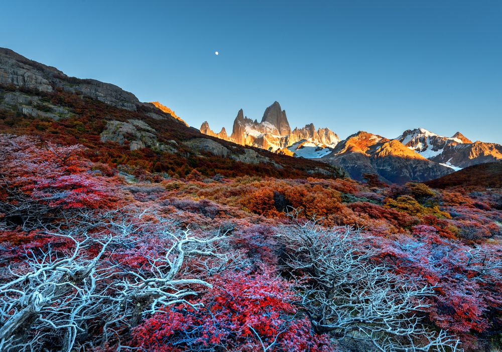 DAY 10 - CHALTÉN