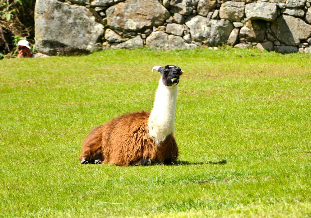 Day 10 - Cusco – Aguas Calientes