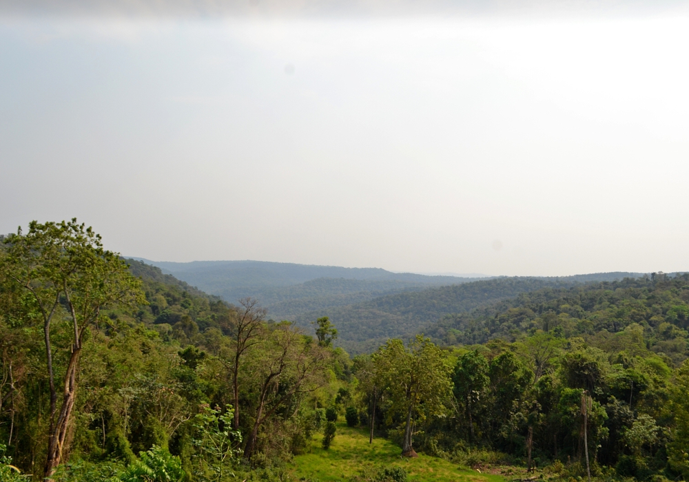 DAY - 10 EA NIBEPO AIKE- IGUAZU ( PUERTO BEMBERG)